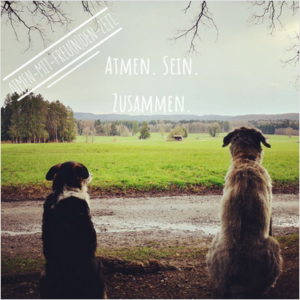 Screenshot 2023-04-20 at 13-33-52 Campaign Builder - Template Designer Mailchimp