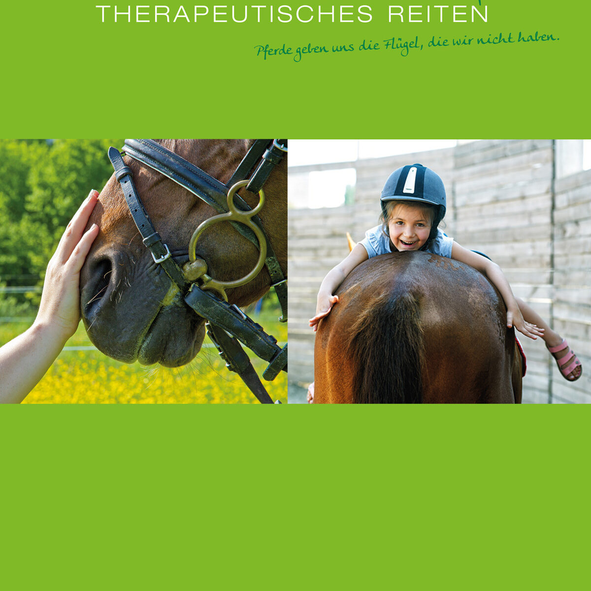 BALU_Reiten_1596x2126