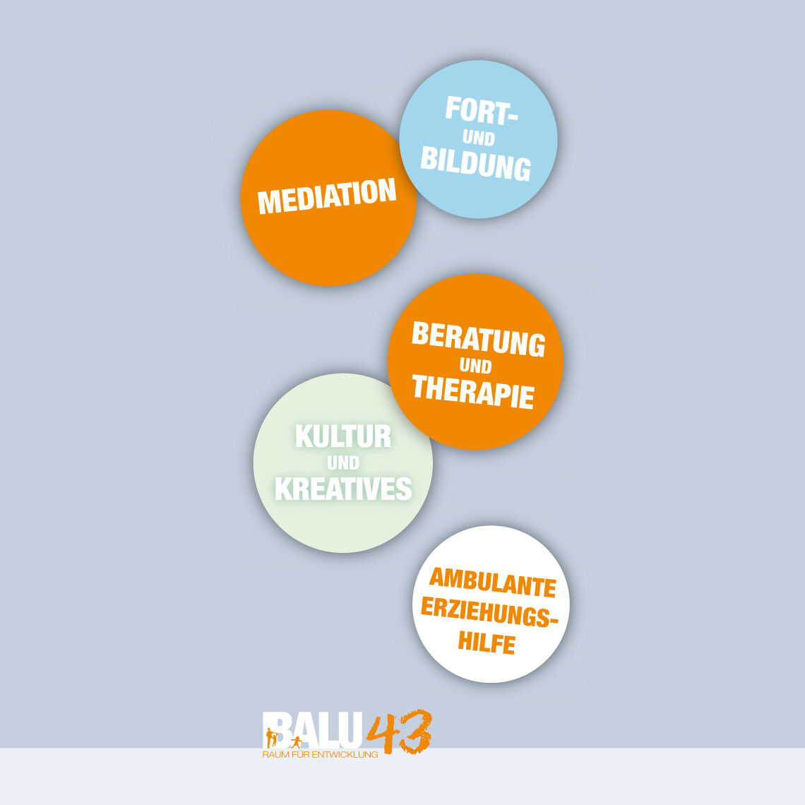 Schild-BALU43-Leistungen